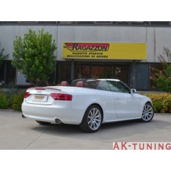 Audi A5 (B8) - Cabrio 2.7TDi V6 (190hk) 2009 - 2011 - Rostfritt mitten rör&nbsp; | R-55.0453.00