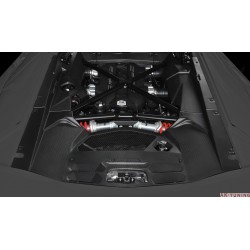 Lamborghini Adventador LP700 - DMC Carbon Fiber motor paneler "Molto Veloce" | DMC-16181